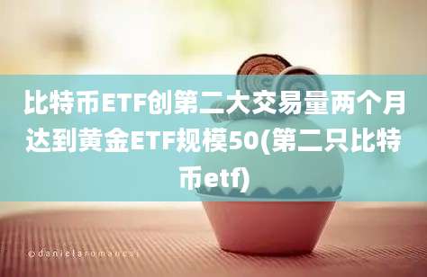 比特币ETF创第二大交易量两个月达到黄金ETF规模50(第二只比特币etf)