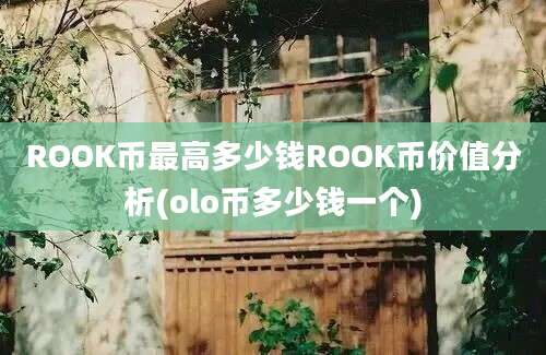 ROOK币最高多少钱ROOK币价值分析(olo币多少钱一个)