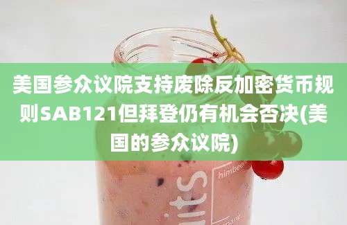 美国参众议院支持废除反加密货币规则SAB121但拜登仍有机会否决(美国的参众议院)