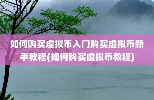 如何购买虚拟币入门购买虚拟币新手教程(如何购买虚拟币教程)