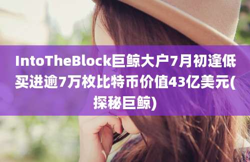 IntoTheBlock巨鲸大户7月初逢低买进逾7万枚比特币价值43亿美元(探秘巨鲸)