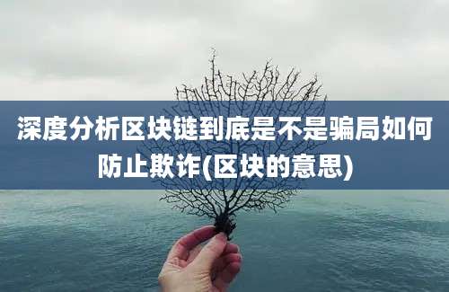 深度分析区块链到底是不是骗局如何防止欺诈(区块的意思)