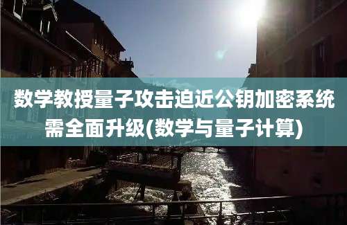 数学教授量子攻击迫近公钥加密系统需全面升级(数学与量子计算)