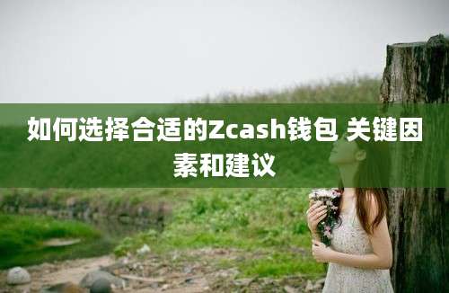 如何选择合适的Zcash钱包 关键因素和建议