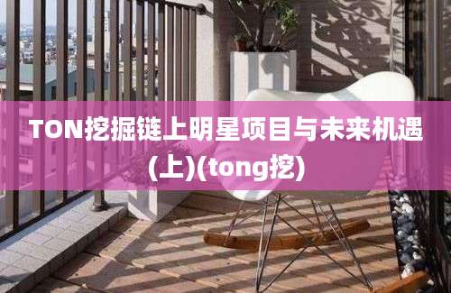 TON挖掘链上明星项目与未来机遇(上)(tong挖)