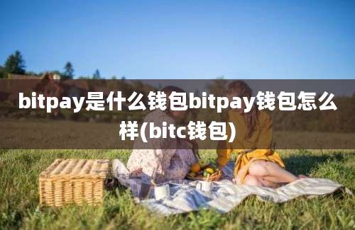 bitpay是什么钱包bitpay钱包怎么样(bitc钱包)