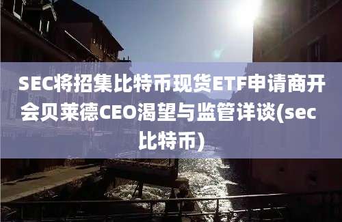 SEC将招集比特币现货ETF申请商开会贝莱德CEO渴望与监管详谈(sec 比特币)