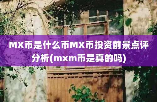 MX币是什么币MX币投资前景点评分析(mxm币是真的吗)