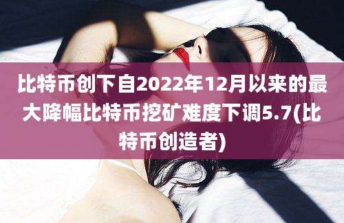 比特币创下自2022年12月以来的最大降幅比特币挖矿难度下调5.7(比特币创造者)