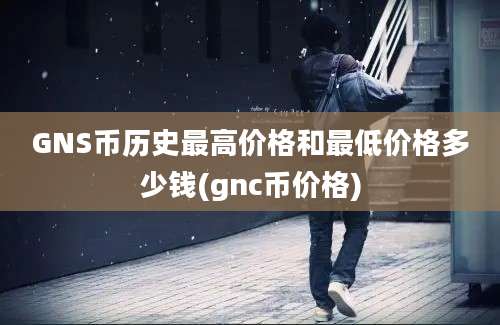 GNS币历史最高价格和最低价格多少钱(gnc币价格)