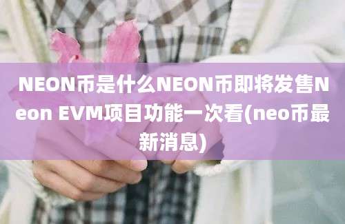 NEON币是什么NEON币即将发售Neon EVM项目功能一次看(neo币最新消息)