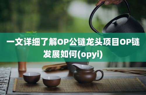 一文详细了解OP公链龙头项目OP链发展如何(opyi)