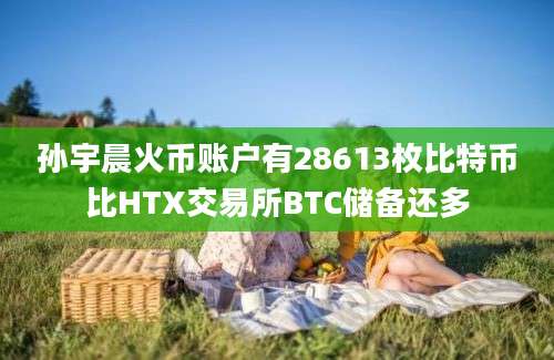 孙宇晨火币账户有28613枚比特币比HTX交易所BTC储备还多