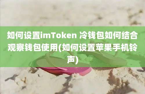 如何设置imToken 冷钱包如何结合观察钱包使用(如何设置苹果手机铃声)