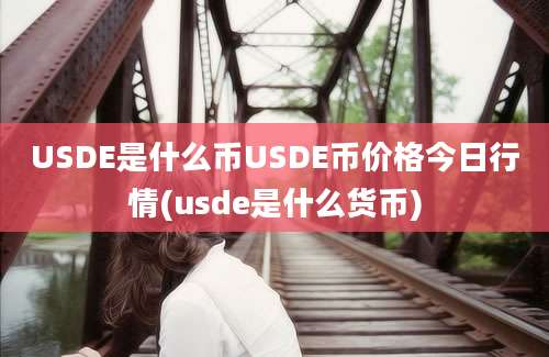 USDE是什么币USDE币价格今日行情(usde是什么货币)