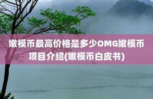 嫩模币最高价格是多少OMG嫩模币项目介绍(嫩模币白皮书)