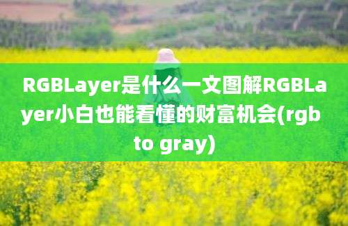 RGBLayer是什么一文图解RGBLayer小白也能看懂的财富机会(rgb to gray)