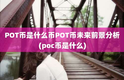 POT币是什么币POT币未来前景分析(poc币是什么)