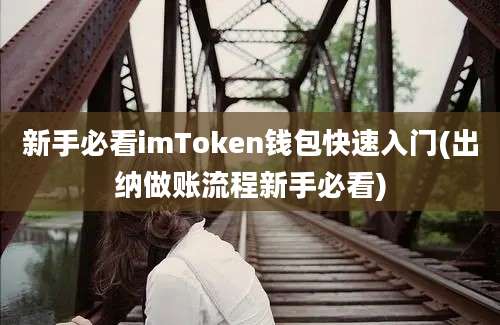 新手必看imToken钱包快速入门(出纳做账流程新手必看)