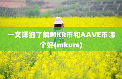 一文详细了解MKR币和AAVE币哪个好(mkurs)