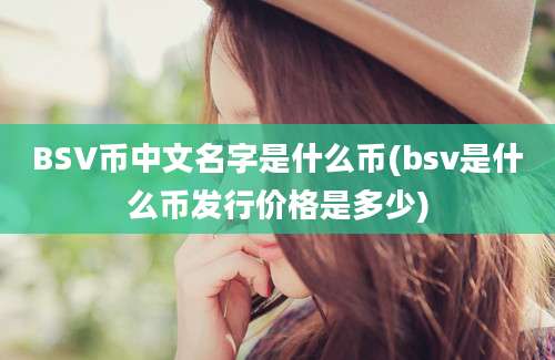 BSV币中文名字是什么币(bsv是什么币发行价格是多少)