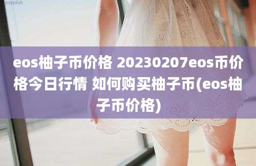 eos柚子币价格 20230207eos币价格今日行情 如何购买柚子币(eos柚子币价格)