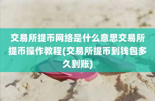 交易所提币网络是什么意思交易所提币操作教程(交易所提币到钱包多久到账)