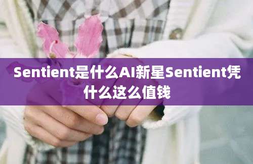 Sentient是什么AI新星Sentient凭什么这么值钱