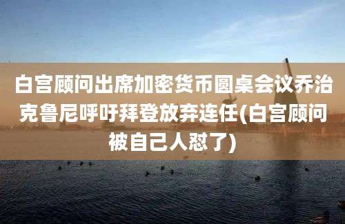 白宫顾问出席加密货币圆桌会议乔治克鲁尼呼吁拜登放弃连任(白宫顾问被自己人怼了)