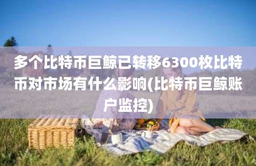 多个比特币巨鲸已转移6300枚比特币对市场有什么影响(比特币巨鲸账户监控)