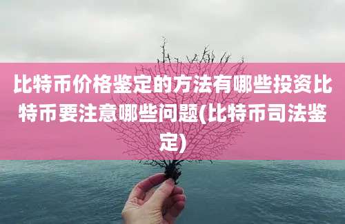 比特币价格鉴定的方法有哪些投资比特币要注意哪些问题(比特币司法鉴定)