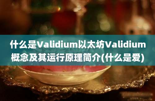 什么是Validium以太坊Validium概念及其运行原理简介(什么是爱)