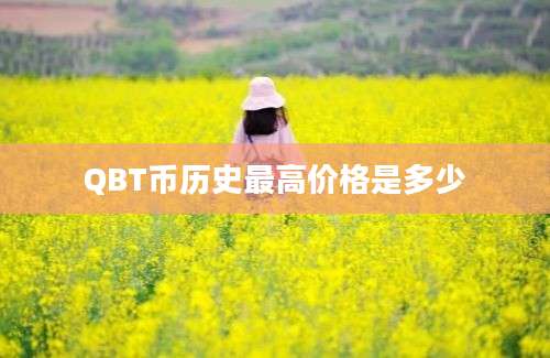 QBT币历史最高价格是多少