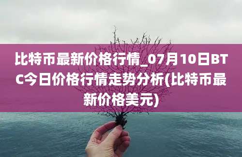 比特币最新价格行情_07月10日BTC今日价格行情走势分析(比特币最新价格美元)