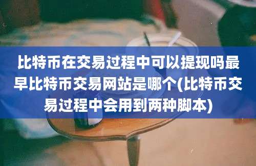 比特币在交易过程中可以提现吗最早比特币交易网站是哪个(比特币交易过程中会用到两种脚本)