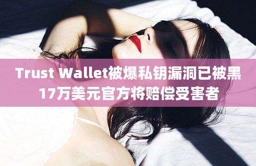 Trust Wallet被爆私钥漏洞已被黑17万美元官方将赔偿受害者