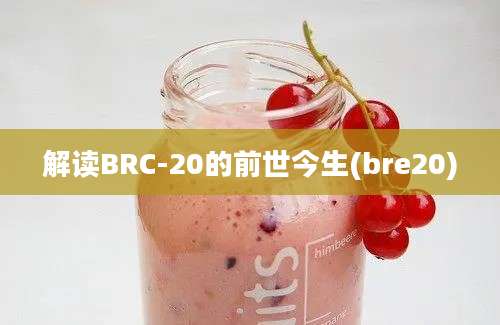 解读BRC-20的前世今生(bre20)