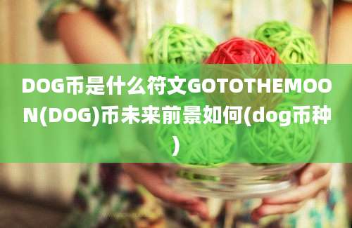 DOG币是什么符文GOTOTHEMOON(DOG)币未来前景如何(dog币种)