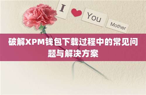 破解XPM钱包下载过程中的常见问题与解决方案