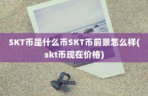 SKT币是什么币SKT币前景怎么样(skt币现在价格)