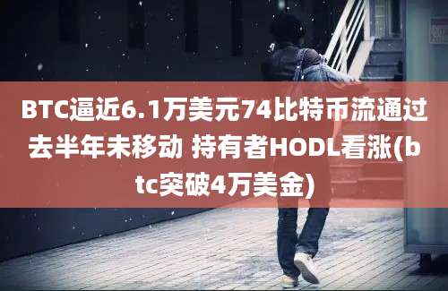 BTC逼近6.1万美元74比特币流通过去半年未移动 持有者HODL看涨(btc突破4万美金)