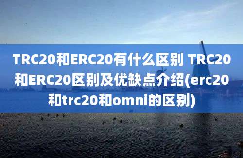 TRC20和ERC20有什么区别 TRC20和ERC20区别及优缺点介绍(erc20和trc20和omni的区别)