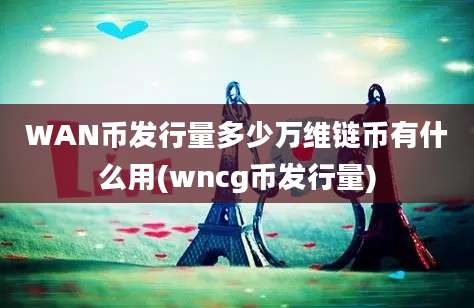 WAN币发行量多少万维链币有什么用(wncg币发行量)