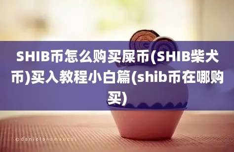 SHIB币怎么购买屎币(SHIB柴犬币)买入教程小白篇(shib币在哪购买)