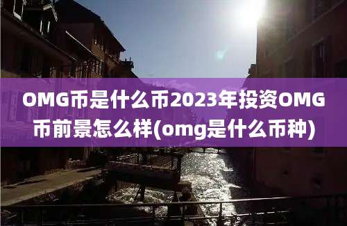 OMG币是什么币2023年投资OMG币前景怎么样(omg是什么币种)