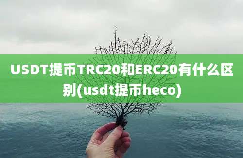 USDT提币TRC20和ERC20有什么区别(usdt提币heco)