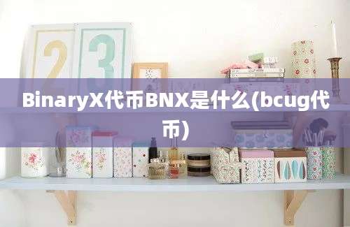 BinaryX代币BNX是什么(bcug代币)