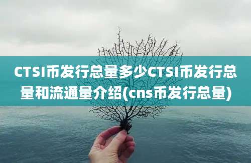 CTSI币发行总量多少CTSI币发行总量和流通量介绍(cns币发行总量)