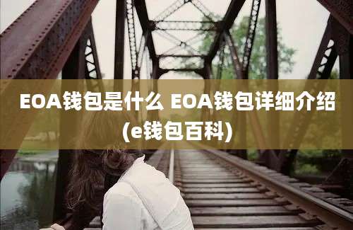 EOA钱包是什么 EOA钱包详细介绍(e钱包百科)