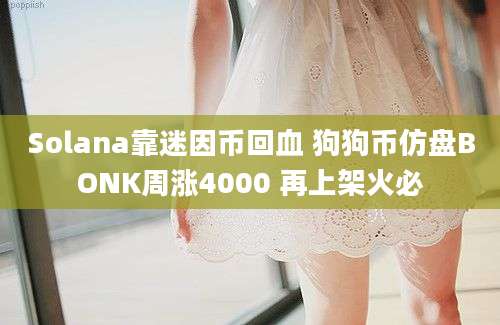 Solana靠迷因币回血 狗狗币仿盘BONK周涨4000 再上架火必